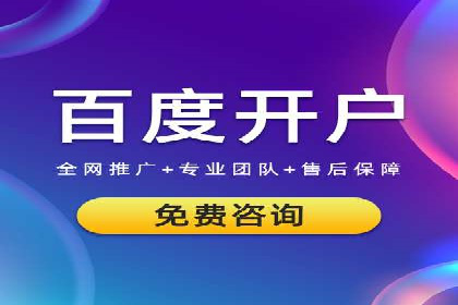 百度竞价推广运营实战技巧与经典案例剖析